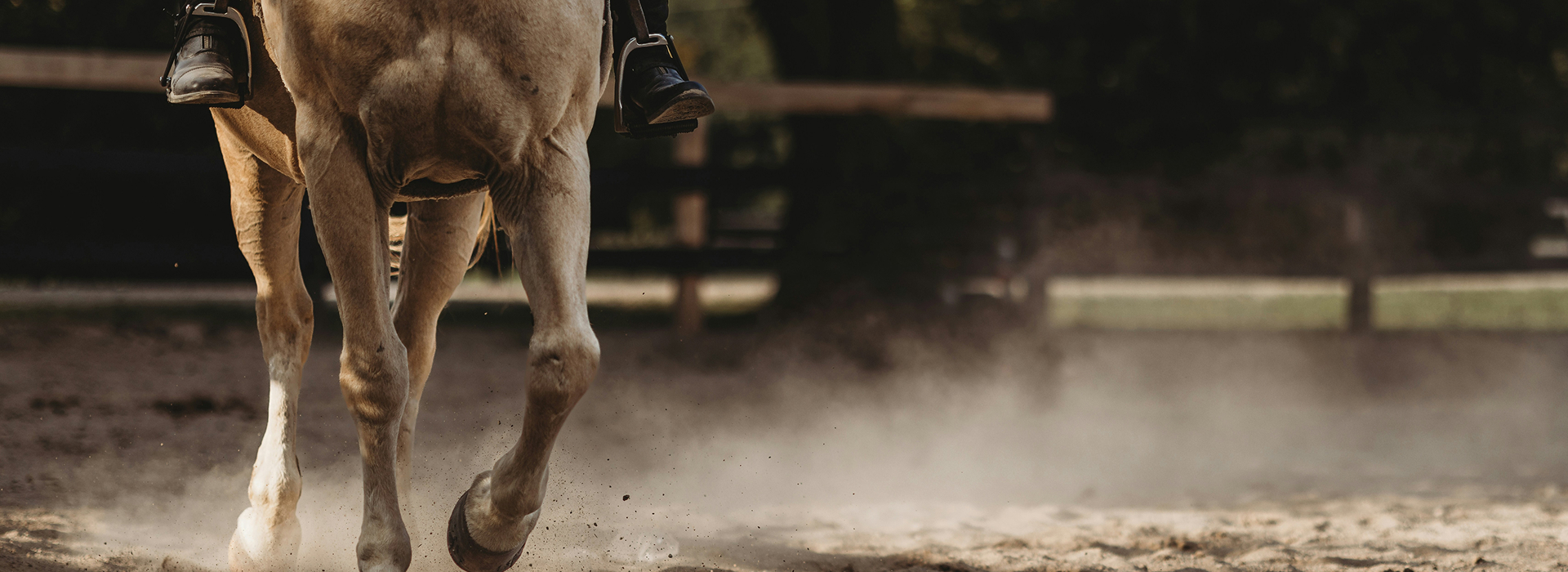 Love is a horse and a sunset